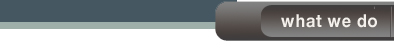 CMCCPA_about_us
